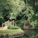 Brücke und Teich