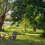 Garten mit Tisch